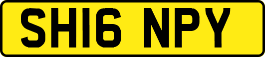 SH16NPY