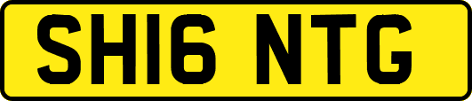 SH16NTG