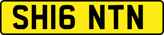 SH16NTN