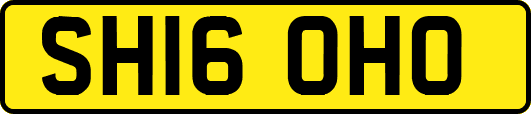 SH16OHO