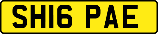 SH16PAE