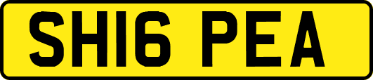 SH16PEA