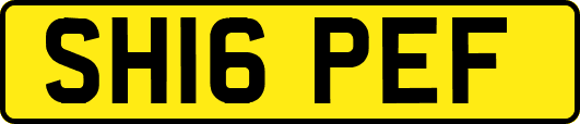 SH16PEF