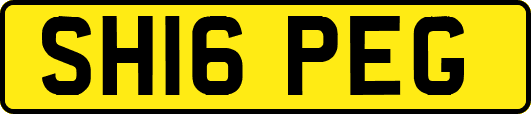 SH16PEG