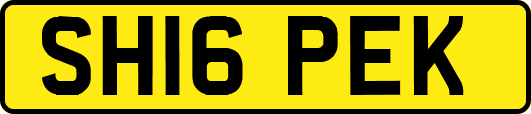 SH16PEK