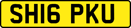 SH16PKU