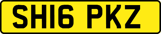 SH16PKZ