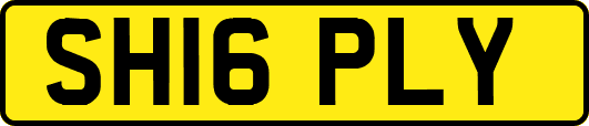 SH16PLY