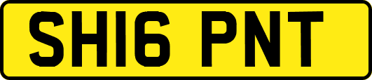 SH16PNT