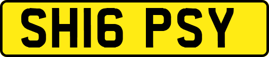 SH16PSY