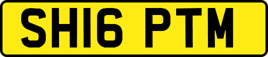 SH16PTM