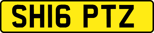 SH16PTZ