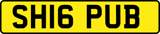 SH16PUB