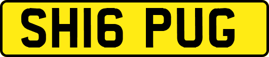 SH16PUG