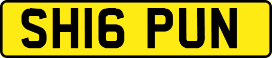 SH16PUN