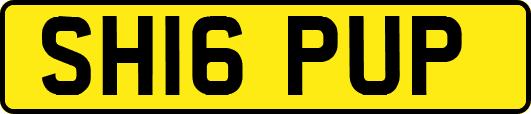 SH16PUP