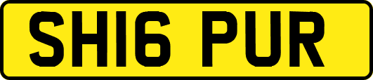 SH16PUR