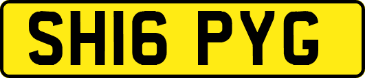 SH16PYG
