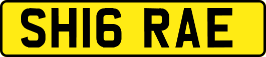 SH16RAE