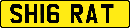 SH16RAT