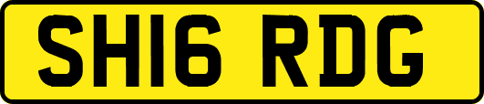 SH16RDG
