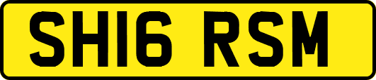 SH16RSM