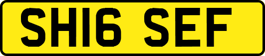 SH16SEF