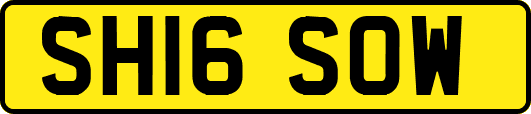 SH16SOW