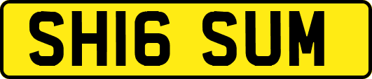SH16SUM