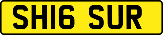 SH16SUR