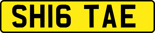 SH16TAE