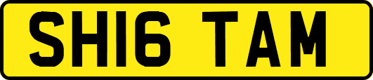 SH16TAM