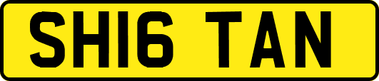 SH16TAN
