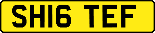 SH16TEF