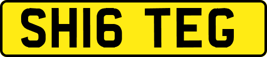 SH16TEG