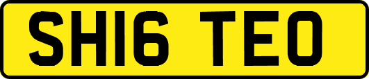 SH16TEO