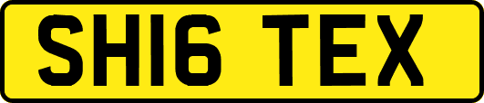 SH16TEX