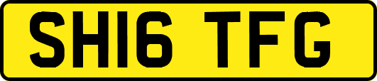 SH16TFG
