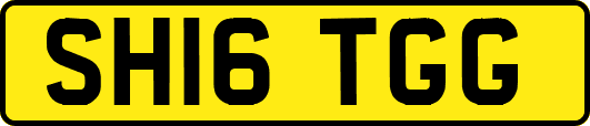 SH16TGG