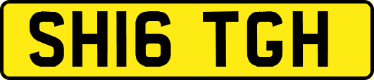 SH16TGH