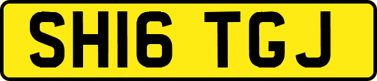 SH16TGJ