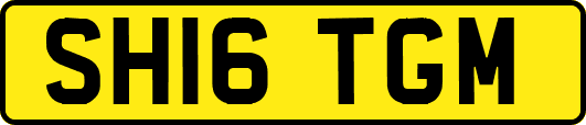 SH16TGM