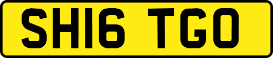 SH16TGO