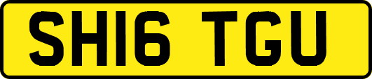 SH16TGU
