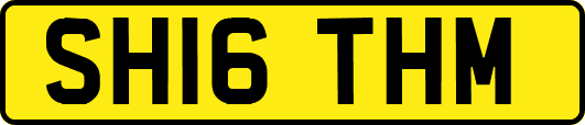 SH16THM