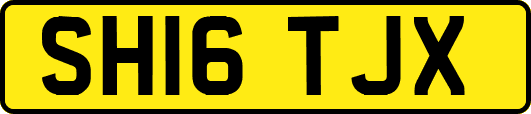 SH16TJX