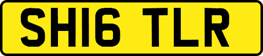 SH16TLR