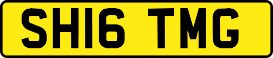 SH16TMG