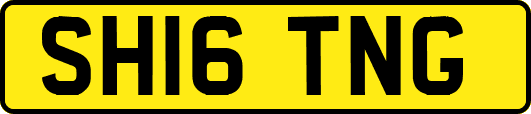SH16TNG