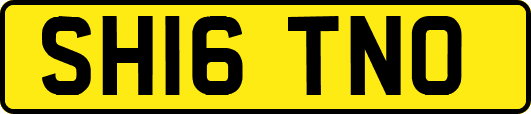 SH16TNO